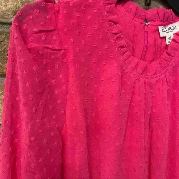 Allison Women's Mini Dress Hot Pink Swiss dot long sleeve ruffles sheer large - Picture 6 of 16
